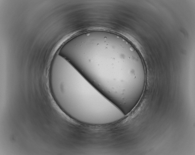 X0000113350949200909151023