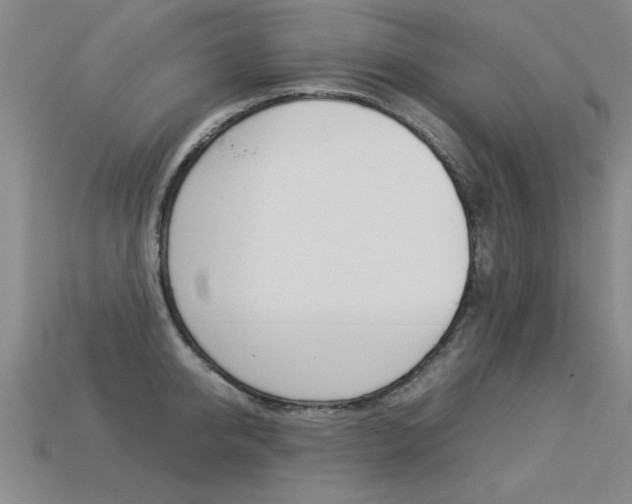 X0000113350950200909151023
