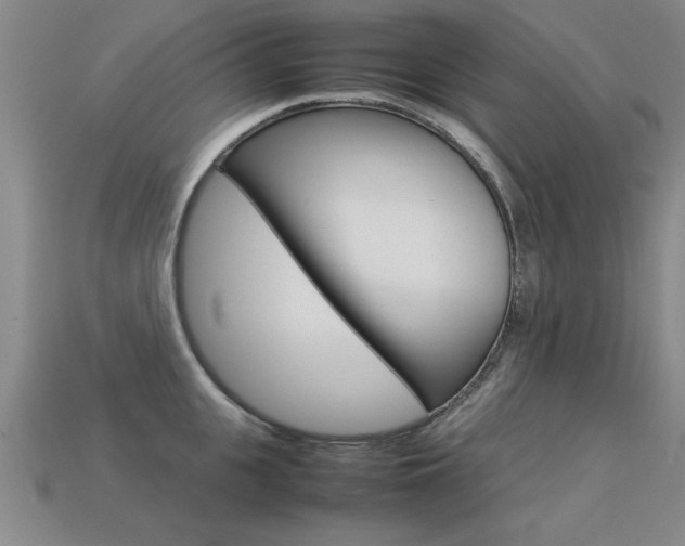 X0000113350951200909151023