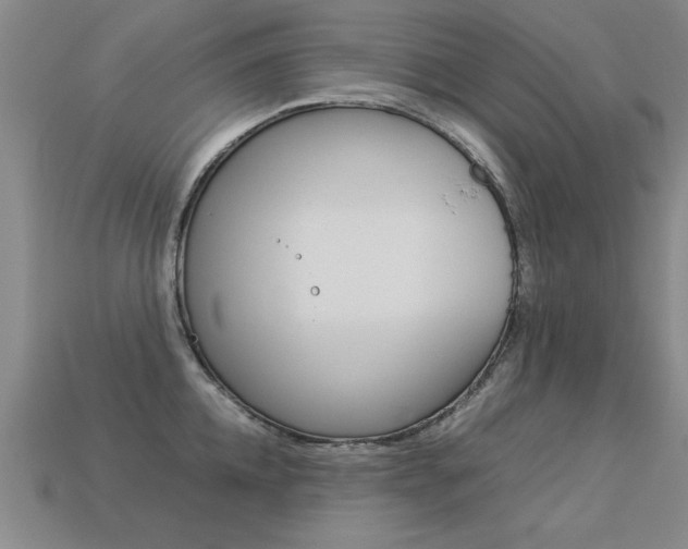 X0000113350952200909151023