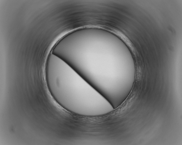 X0000113350955200909151023