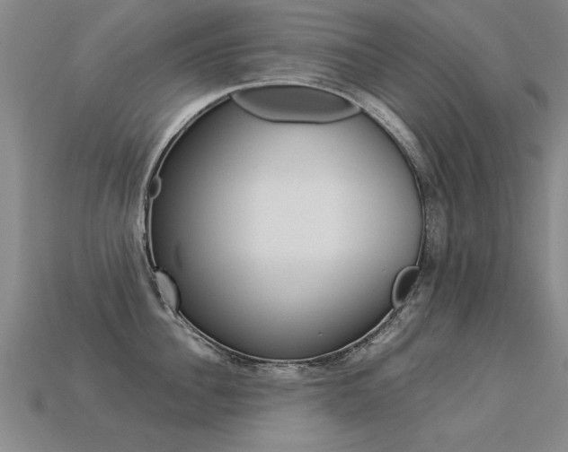 X0000113350956200909151023