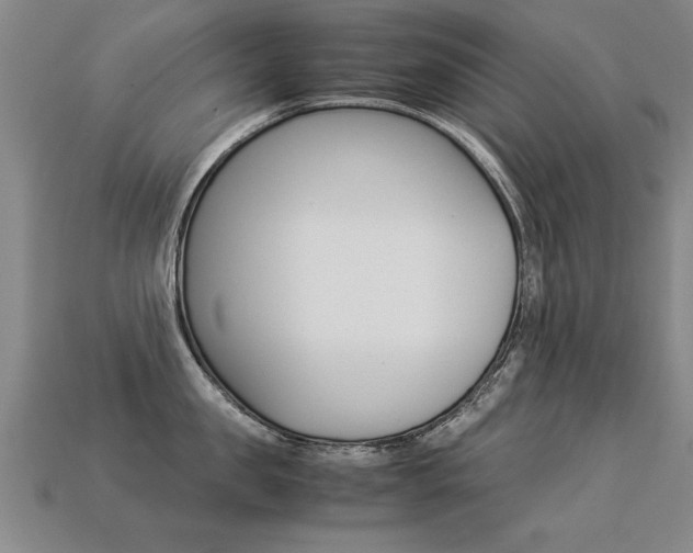 X0000113350957200909151023