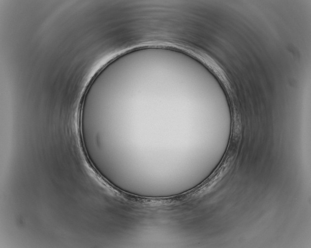 X0000113350958200909151023