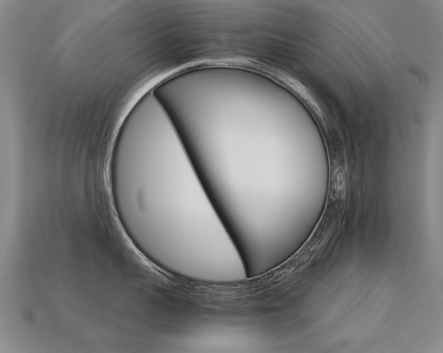 X0000113350959200909151023
