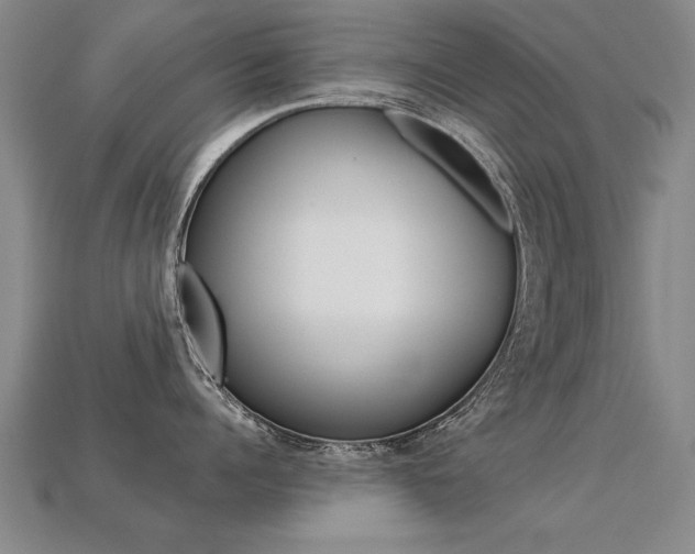 X0000113350960200909151023