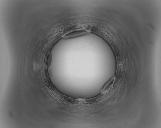 X0000113350961200909151023