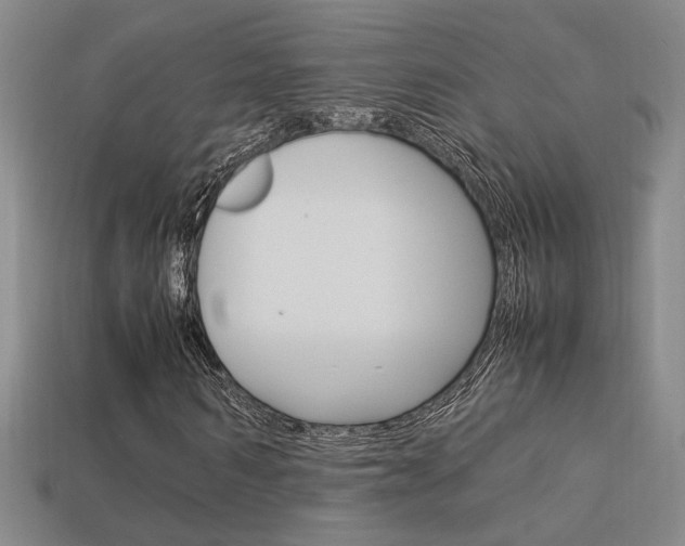 X0000113350962200909151023