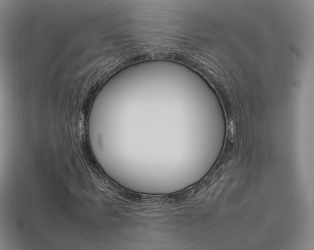 X0000113350963200909151023