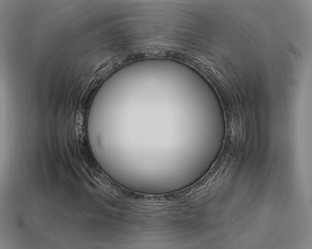 X0000113350964200909151023