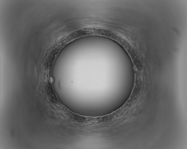 X0000113350965200909151023