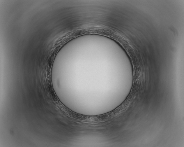 X0000113350966200909151023