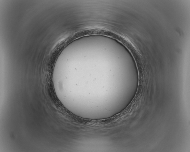 X0000113350967200909151023