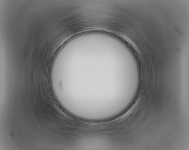 X0000113350969200909151023