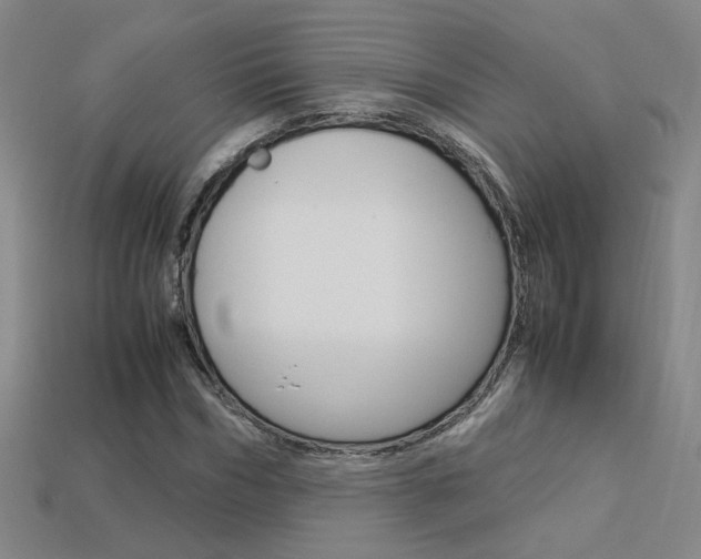 X0000113350970200909151023