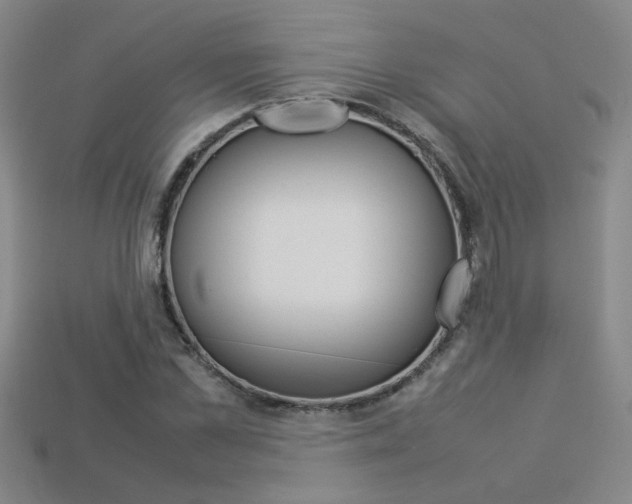 X0000113350973200909151023
