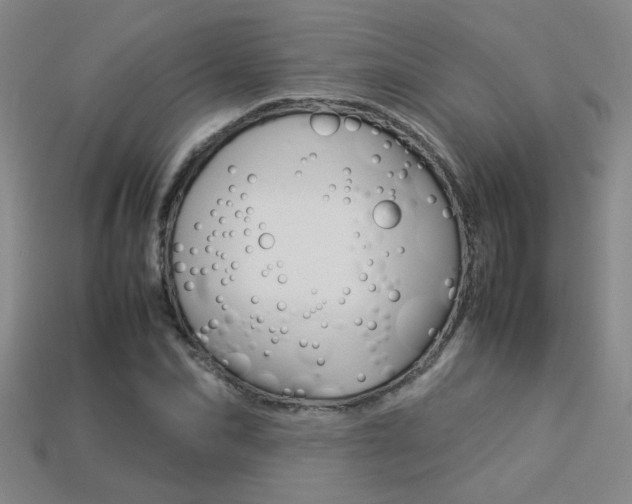 X0000113350974200909151023