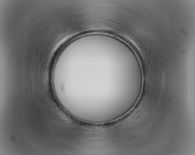 X0000113350975200909151023