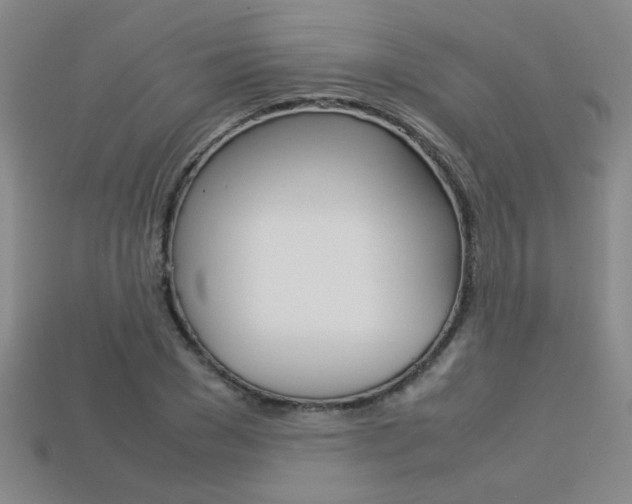 X0000113350977200909151023
