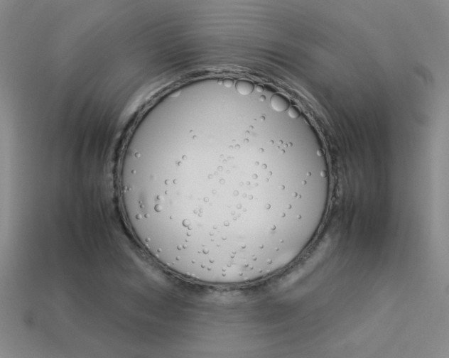 X0000113350978200909151023