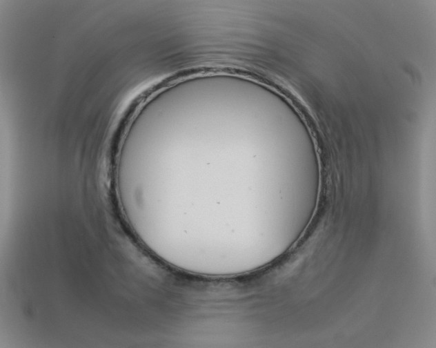 X0000113350979200909151023