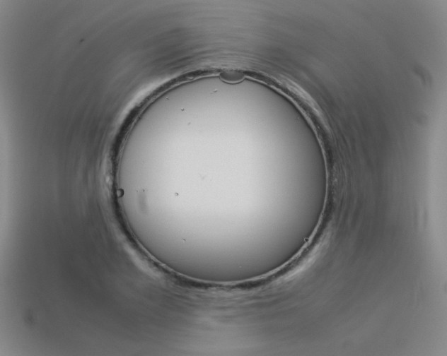 X0000113350981200909151023