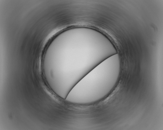 X0000113350982200909151023