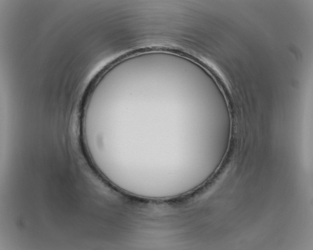 X0000113350983200909151023