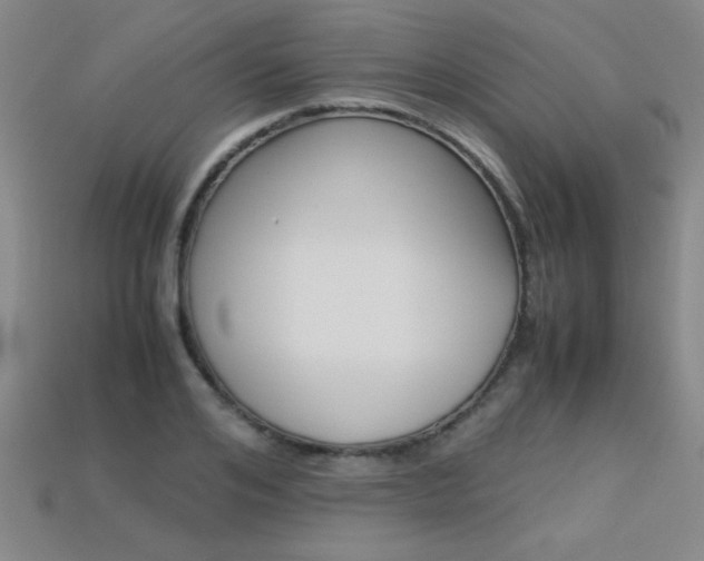 X0000113350984200909151023