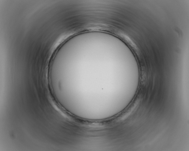 X0000113350986200909151023