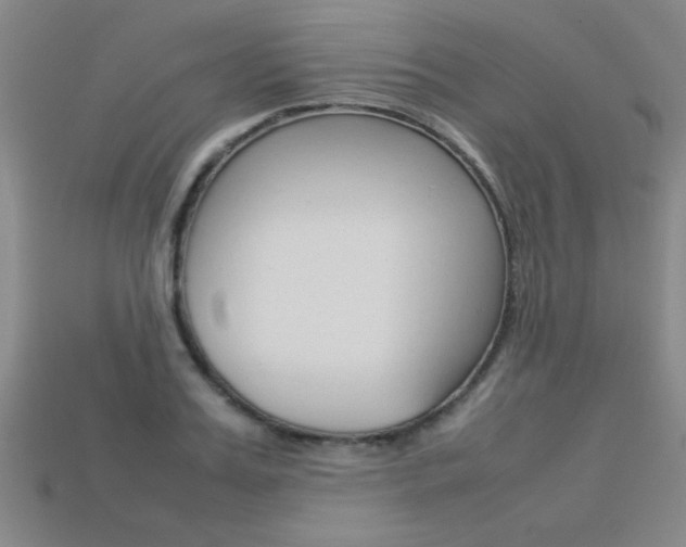 X0000113350987200909151023