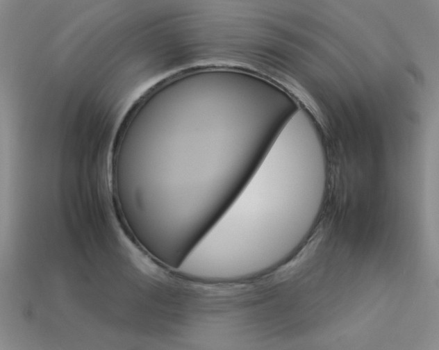 X0000113350988200909151022