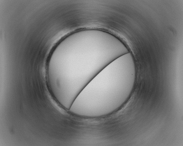 X0000113350990200909151022