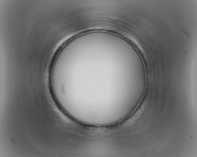X0000113350991200909151022