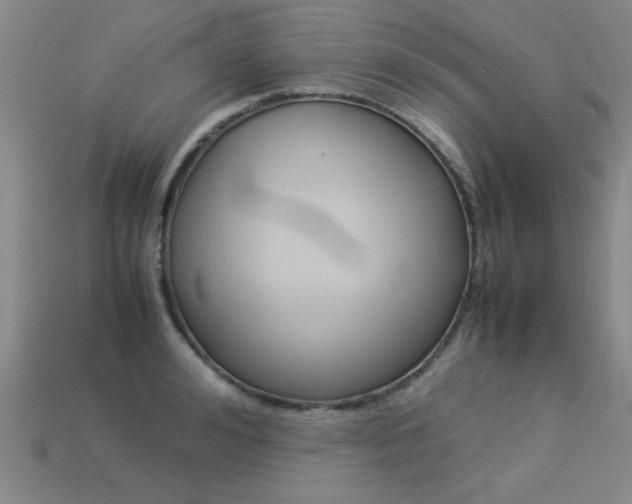 X0000113350992200909151022
