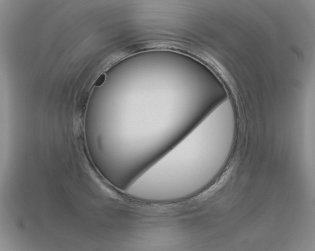 X0000113350993200909151022