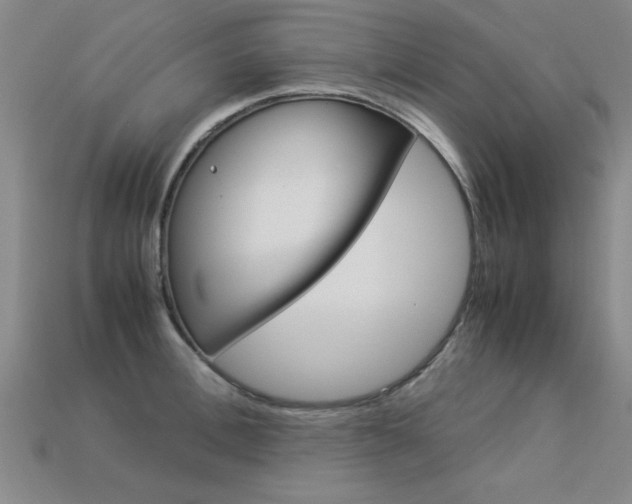 X0000113350996200909151022