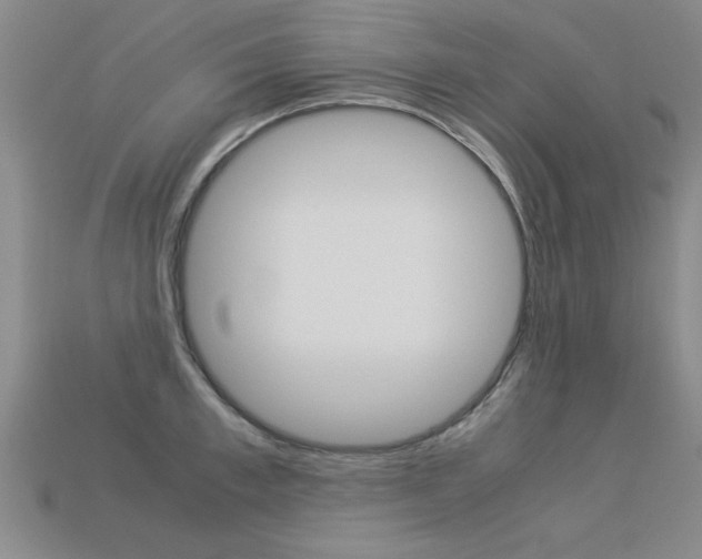 X0000113350997200909151022