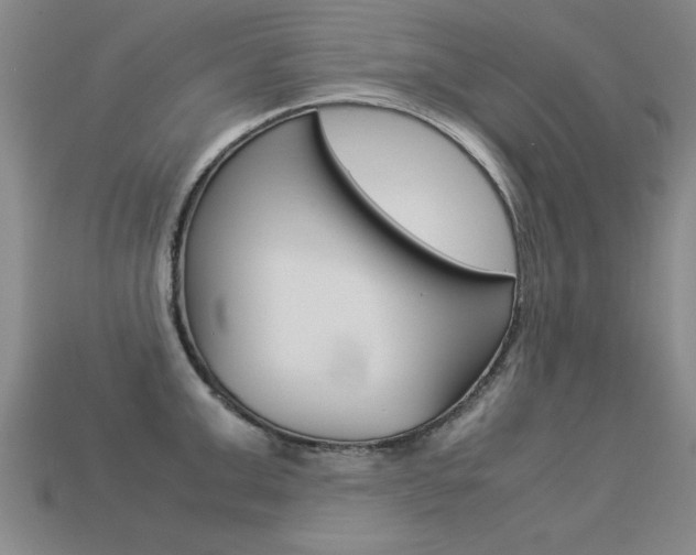 X0000113350999200909151022
