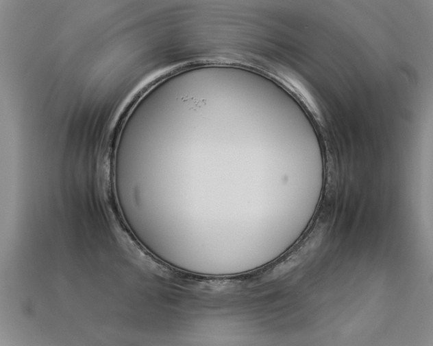 X0000113351000200909151022