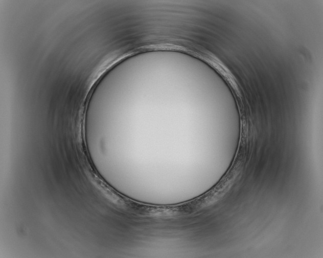 X0000113351002200909151022