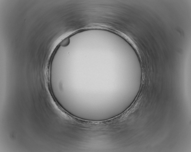 X0000113351003200909151022
