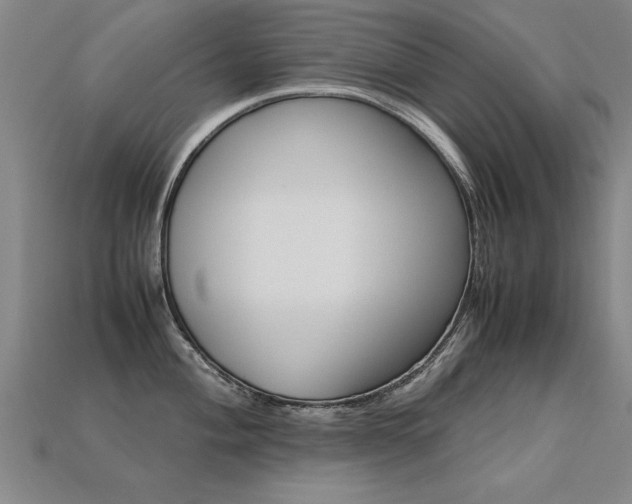X0000113351004200909151022