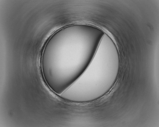X0000113351005200909151022
