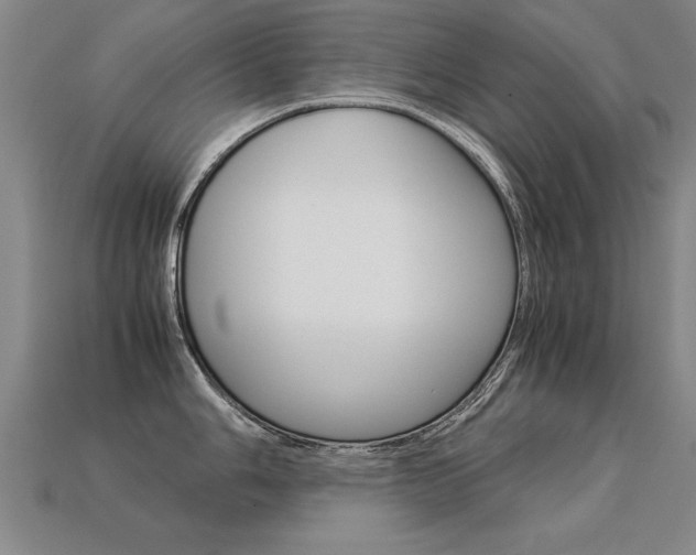 X0000113351006200909151022