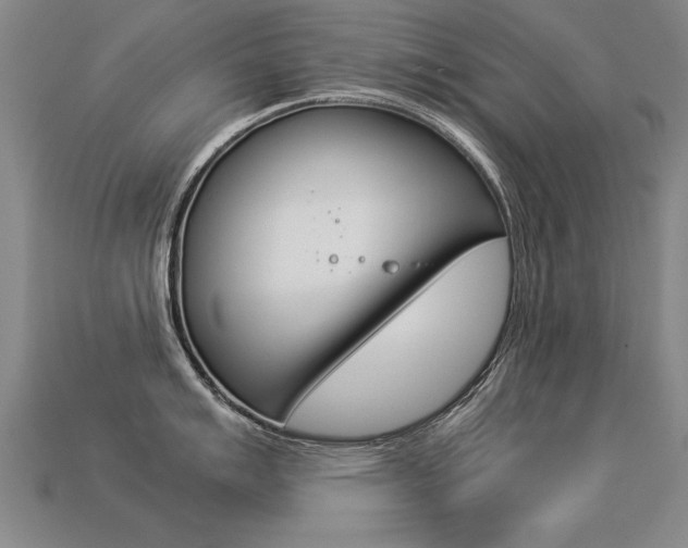 X0000113351007200909151022