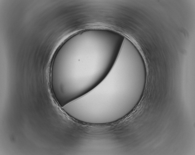 X0000113351008200909151022