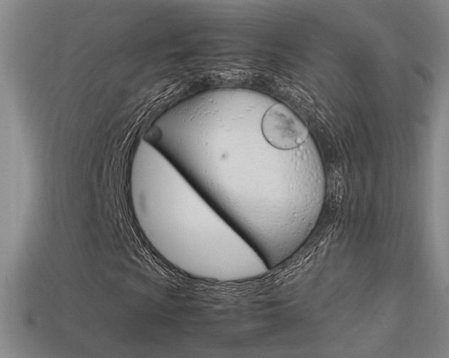 X0000113351009200909151022