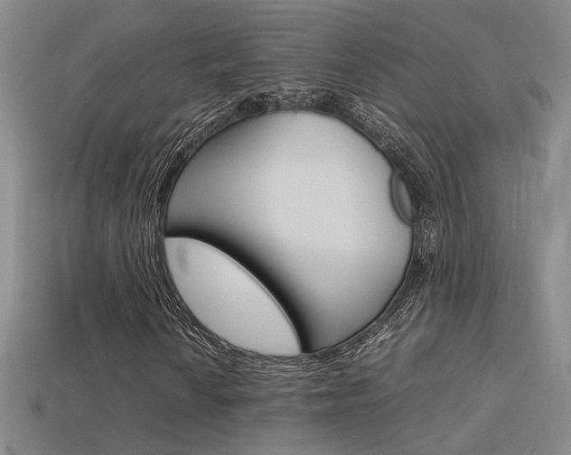 X0000113351010200909151022
