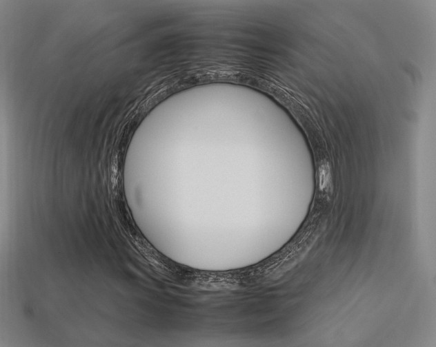 X0000113351011200909151022